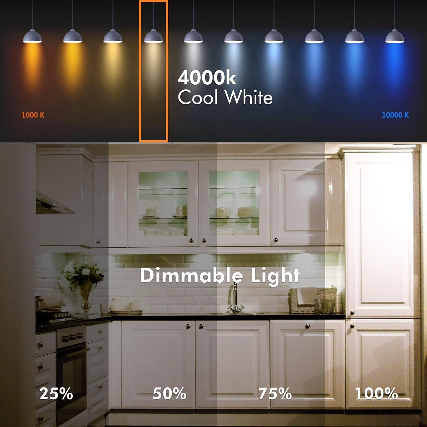 Xtricity Bombilla LED de disco de armario, regulable, bombilla plana de 11 W (reemplazo de 60 W), 800 lúmenes, blanco frío 4000 K, base media E26,