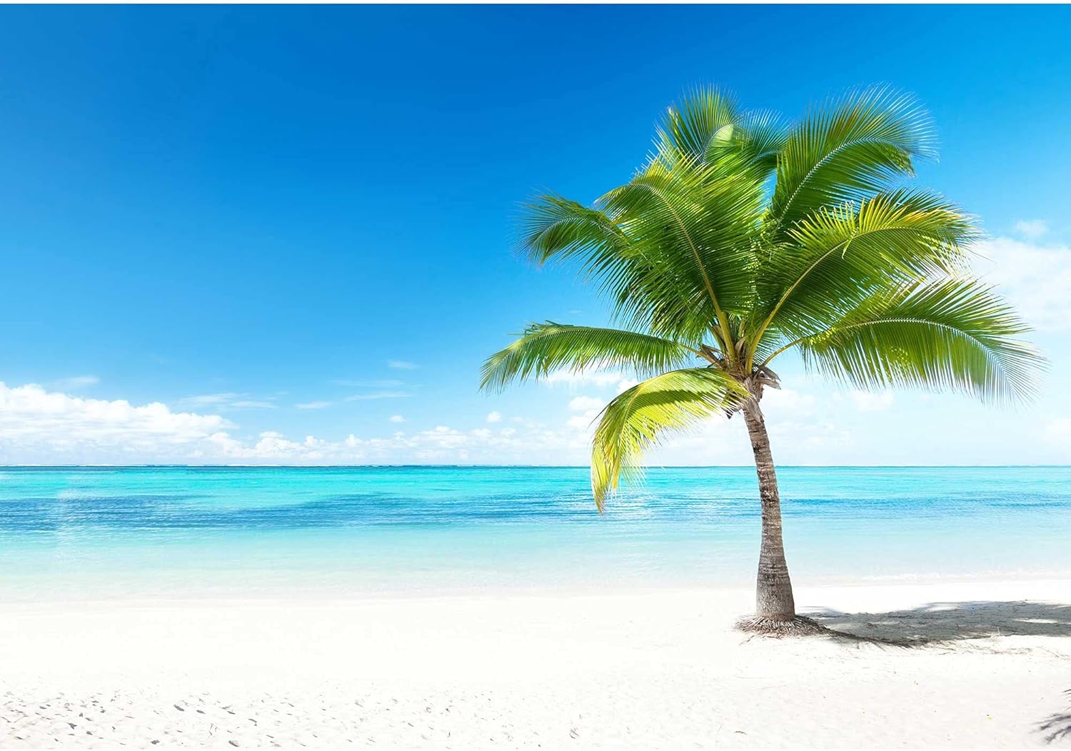 wall26 – Palm and Beach – Mural removible autoadhesivo grande – 100×144 pulgadas