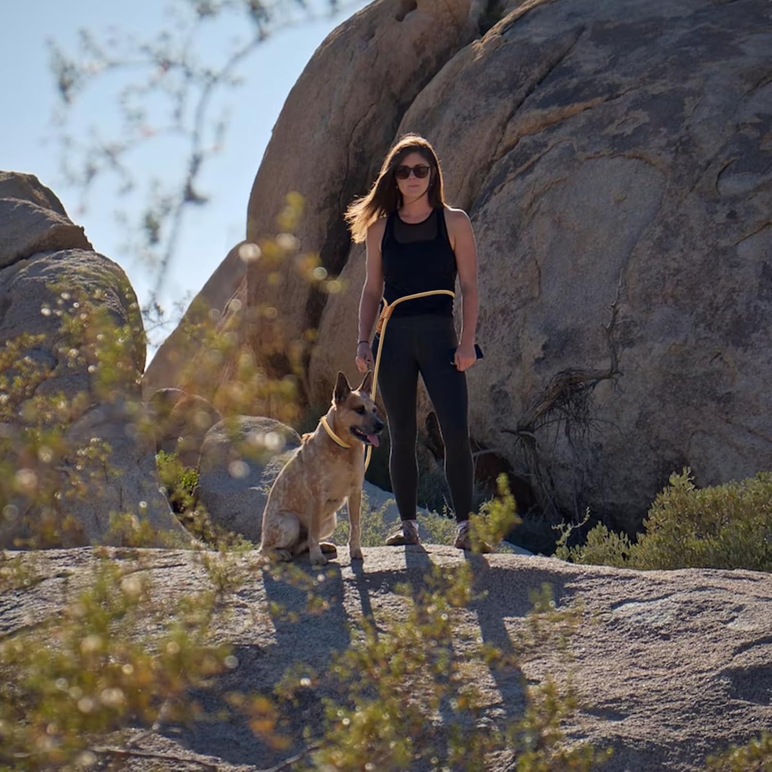 Correa de perro con asa ajustable, manos libres, correa de perro de cuerda fuerte y duradera, cómoda correa de bucle ligera para perros grandes,