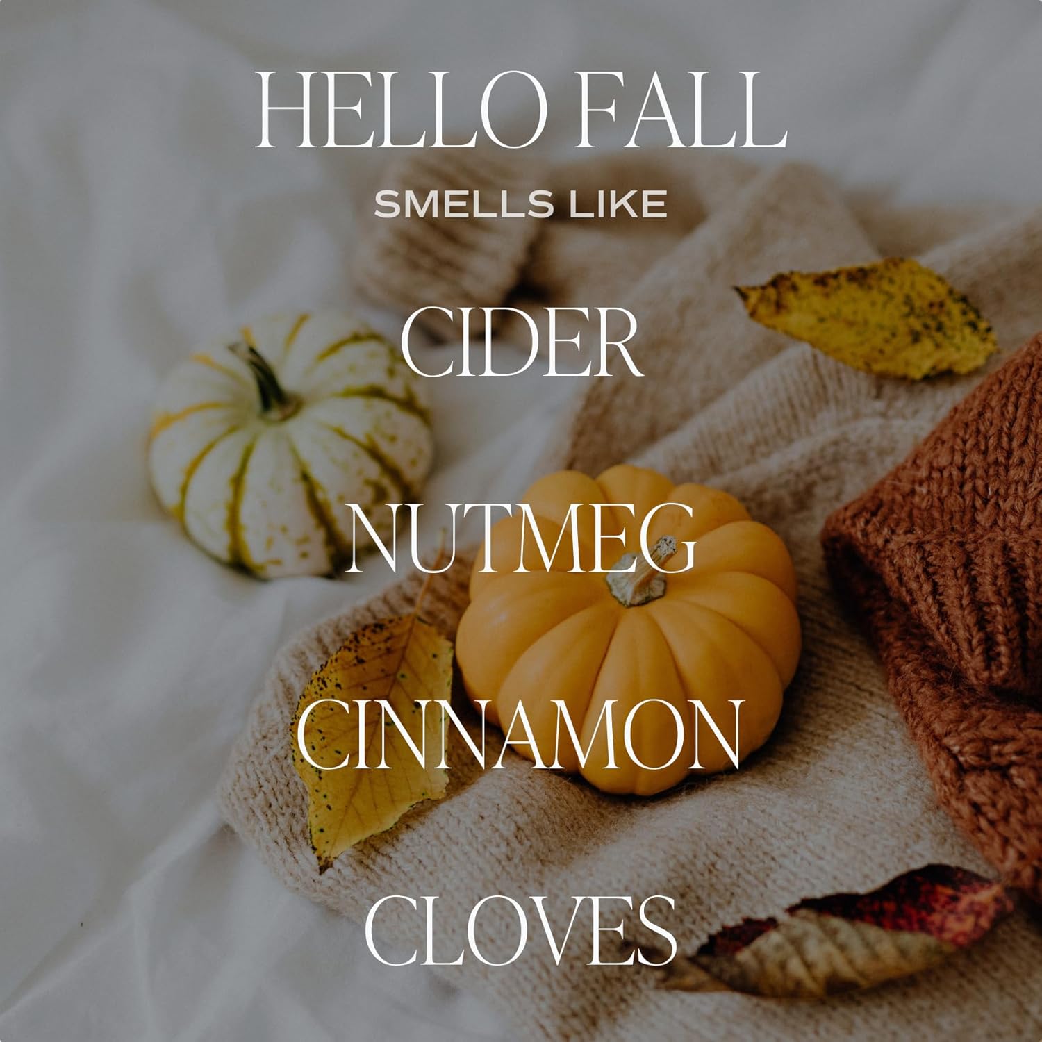 Sweet Water Decor Hello Fall – Vela de soja No. 17, sidra caliente, canela, clavo, manzana y nuez moscada velas perfumadas para el hogar, tarro de