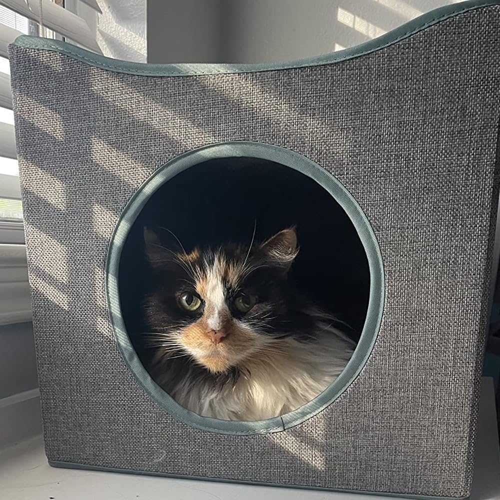 Jongee Cat Cube House – Casa plegable para gatos con cojín reversible y almohadilla para raspar para gatos pequeños de interior, gris, 13 x 13 x 15