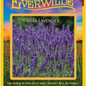 Everwilde Farms – 2000 semillas de hierbas de lavanda Vera – Paquete de semillas jumbo Gold Vault Everwilde Farms – 2000 semillas de hierbas de lavanda Vera – Paquete de semillas jumbo Gold Vault