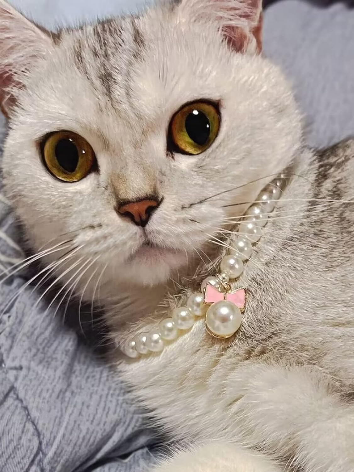 QWINEE Elegante collar de perlas para perro y gato con bonito colgante de pajarita para gato, cachorro, pequeño, mediano, grande, collar de boda,