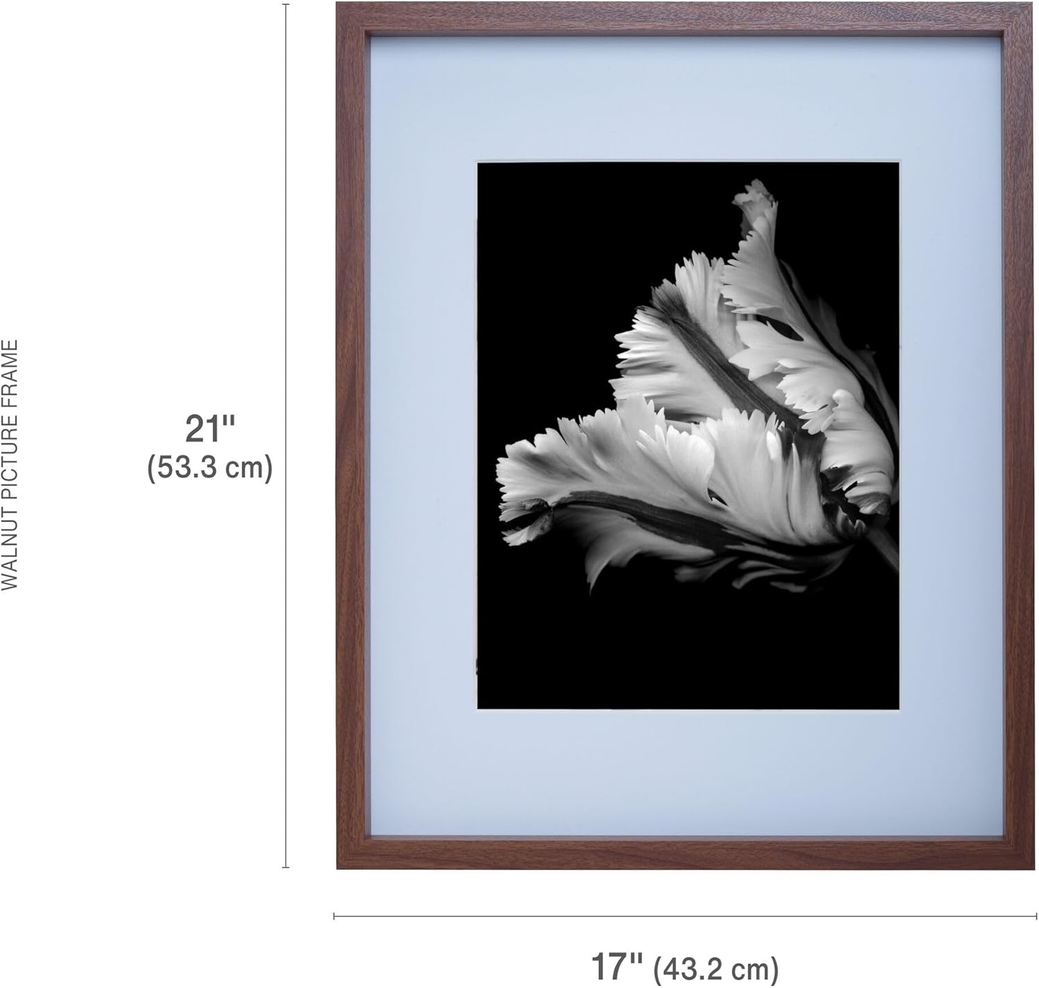 Mikasa Wood Gallery – Marco de pared de 16 x 20 pulgadas, mate a 11 x 14, 17 x 1.57 x 21 pulgadas, nogal