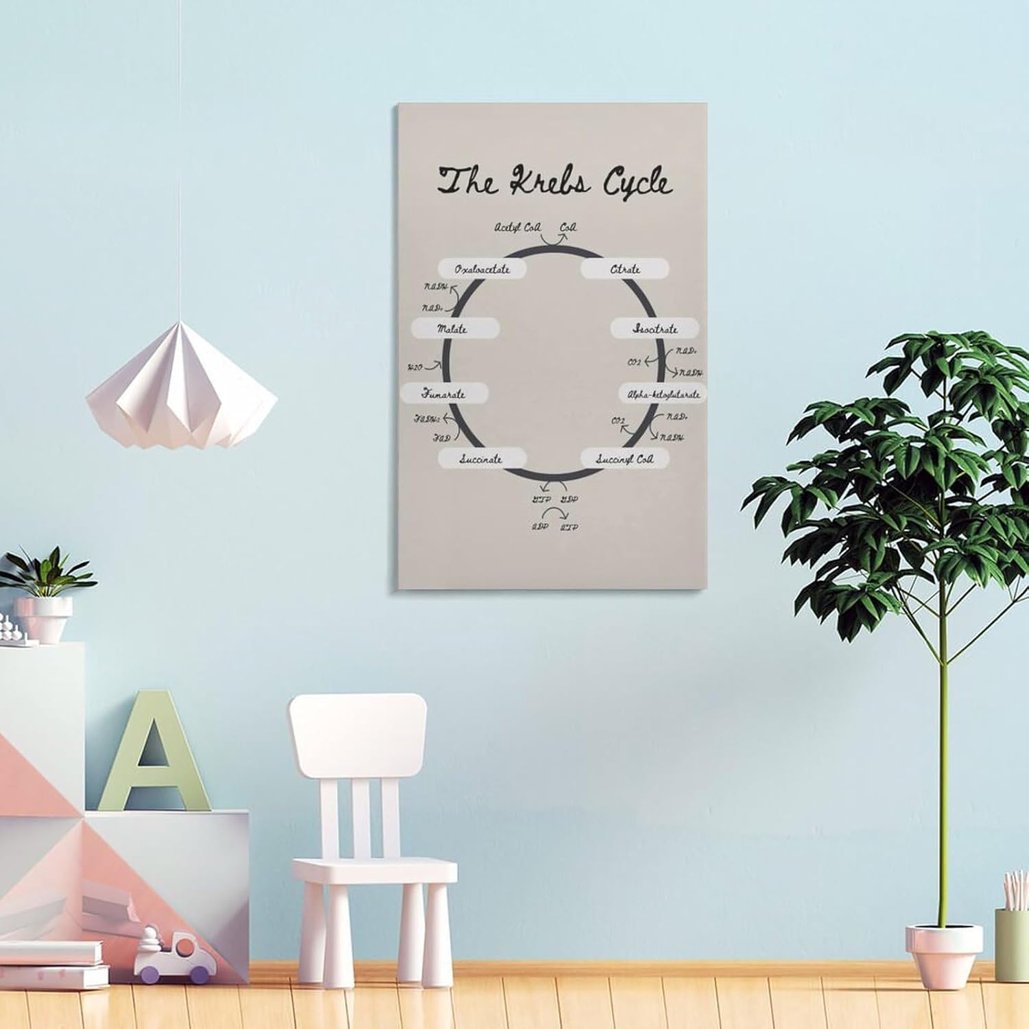 Krebs Cycle – Póster de biología del ciclo TCA de la nutrición, póster educativo, arte de pared, lienzo, decoración de pared, decoración del hogar,