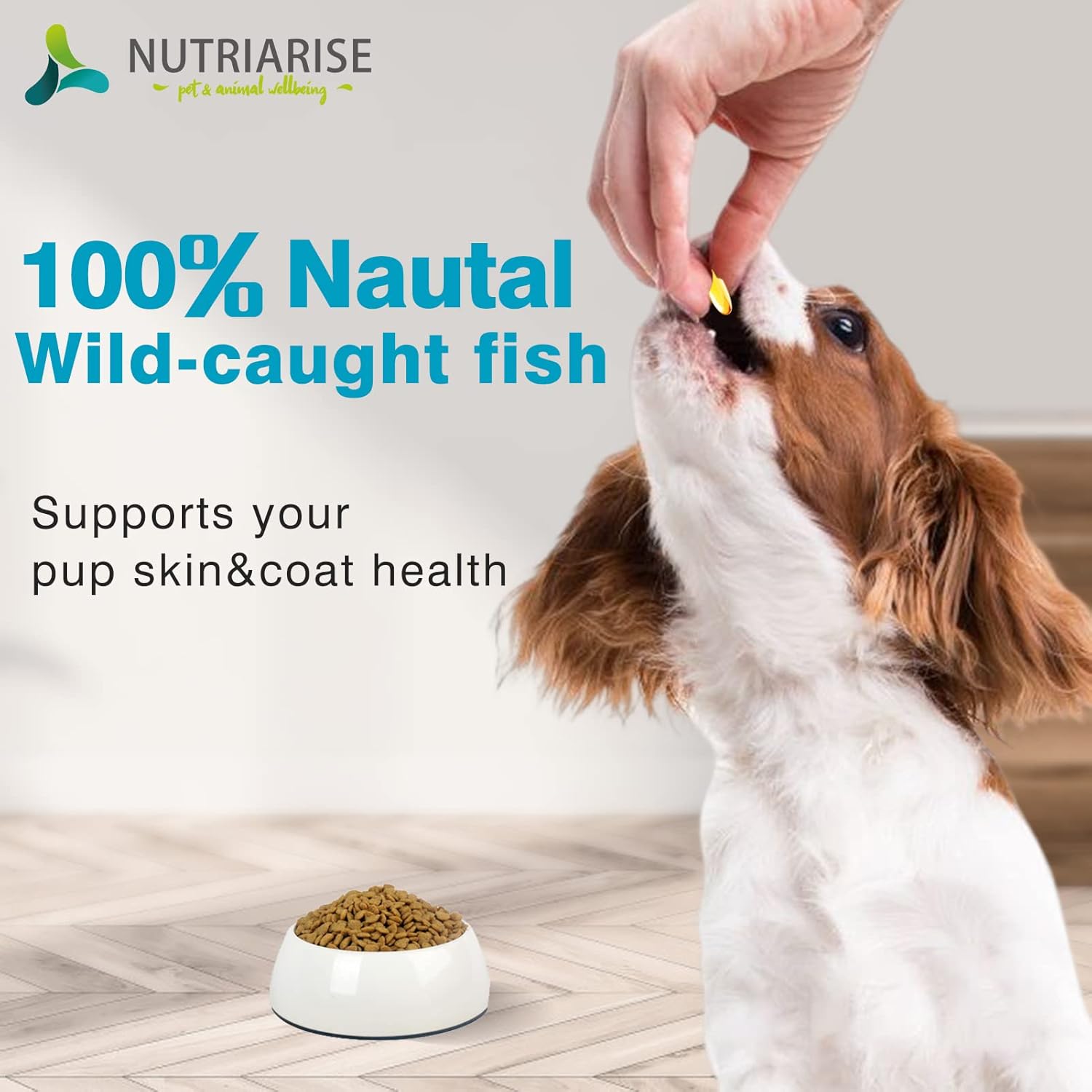 Aceite de pescado Omega 3 para perros y gatos, suplemento de aceite de pescado para perros y gatos, suplemento para piel y pelaje para