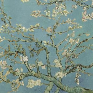 Van Gogh – Rompecabezas de 1000 piezas para adultos, diseño de flores de almendra, rompecabezas de 1000 piezas de Van Gogh para adultos, 1000 piezas Van Gogh – Rompecabezas de 1000 piezas para adultos, diseño de flores de almendra, rompecabezas de 1000 piezas de Van Gogh para adultos, 1000 piezas