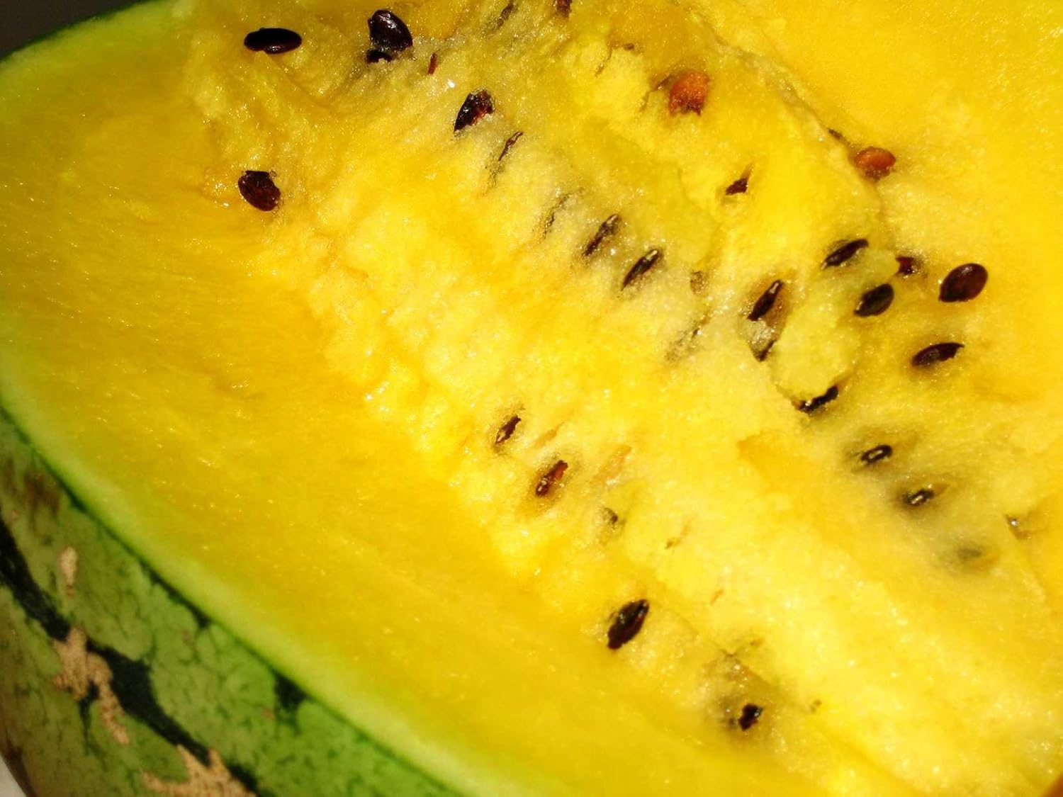 Semillas Sandía Amarillo Janosik – Orgánico