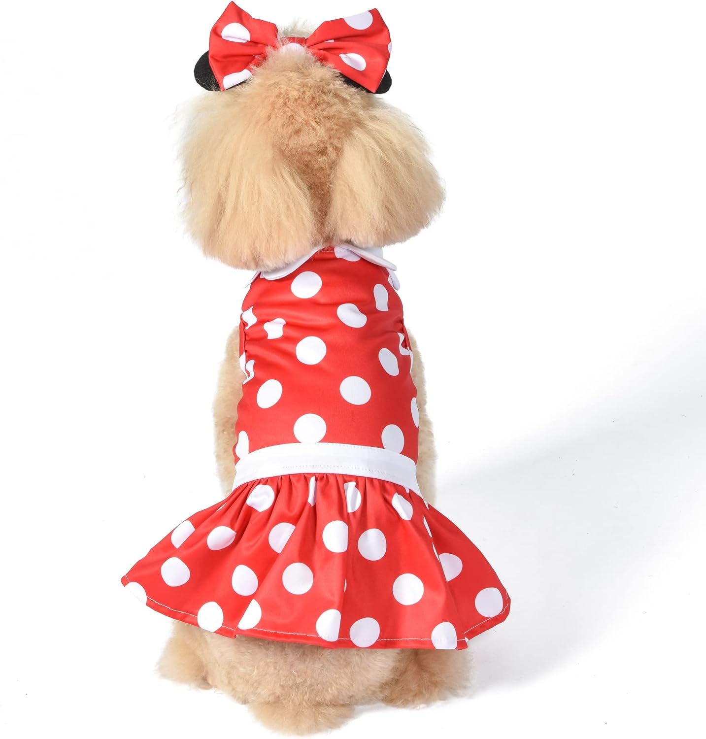 Disney for Pets Disfraz de Halloween de Minnie Mouse para perros, grande, disfraz de Halloween de Disney, divertidos disfraces de mascotas  Disfraz
