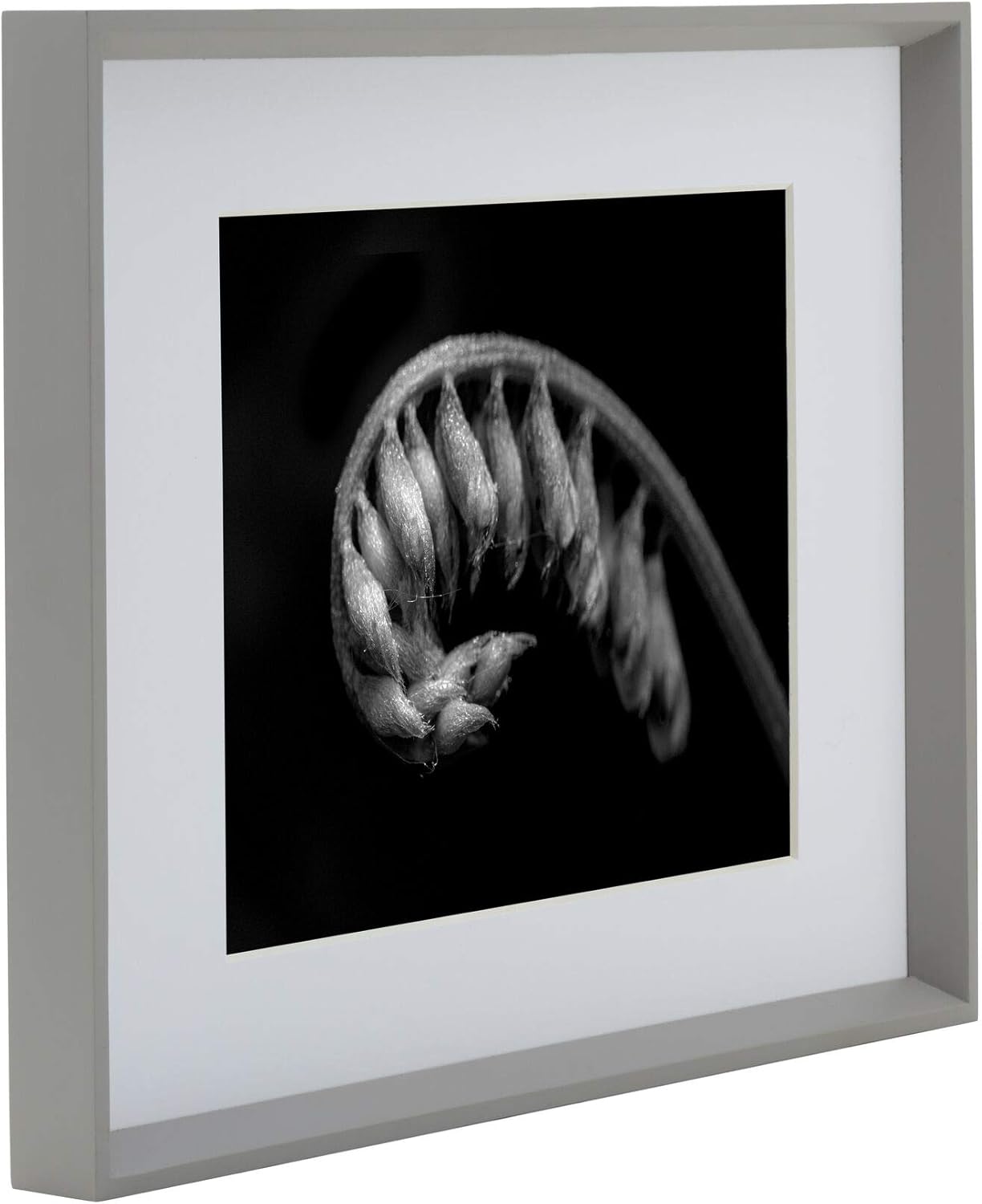 Studio Nova Portarretratos para fotos de 8 x 10 pulgadas de 11 x 14 pulgadas sin paspartú, 11 x 14 pulgadas, mate de 8 x 10 pulgadas, color gris