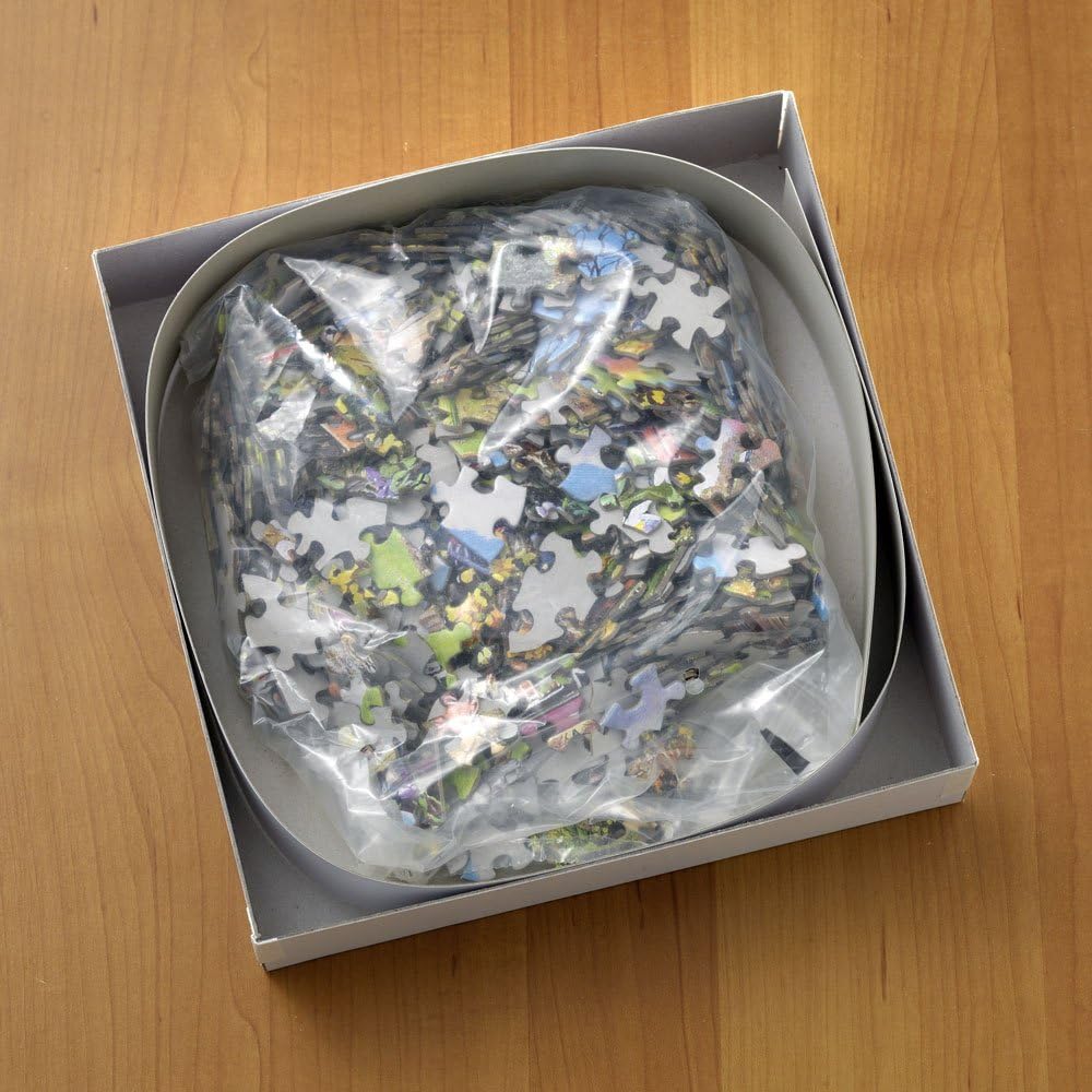 Bits and Pieces – Rompecabezas de 300 piezas para adultos de 18 x 24 pulgadas – ‘Chicago City View’ – Rompecabezas de 300 piezas grandes de parque