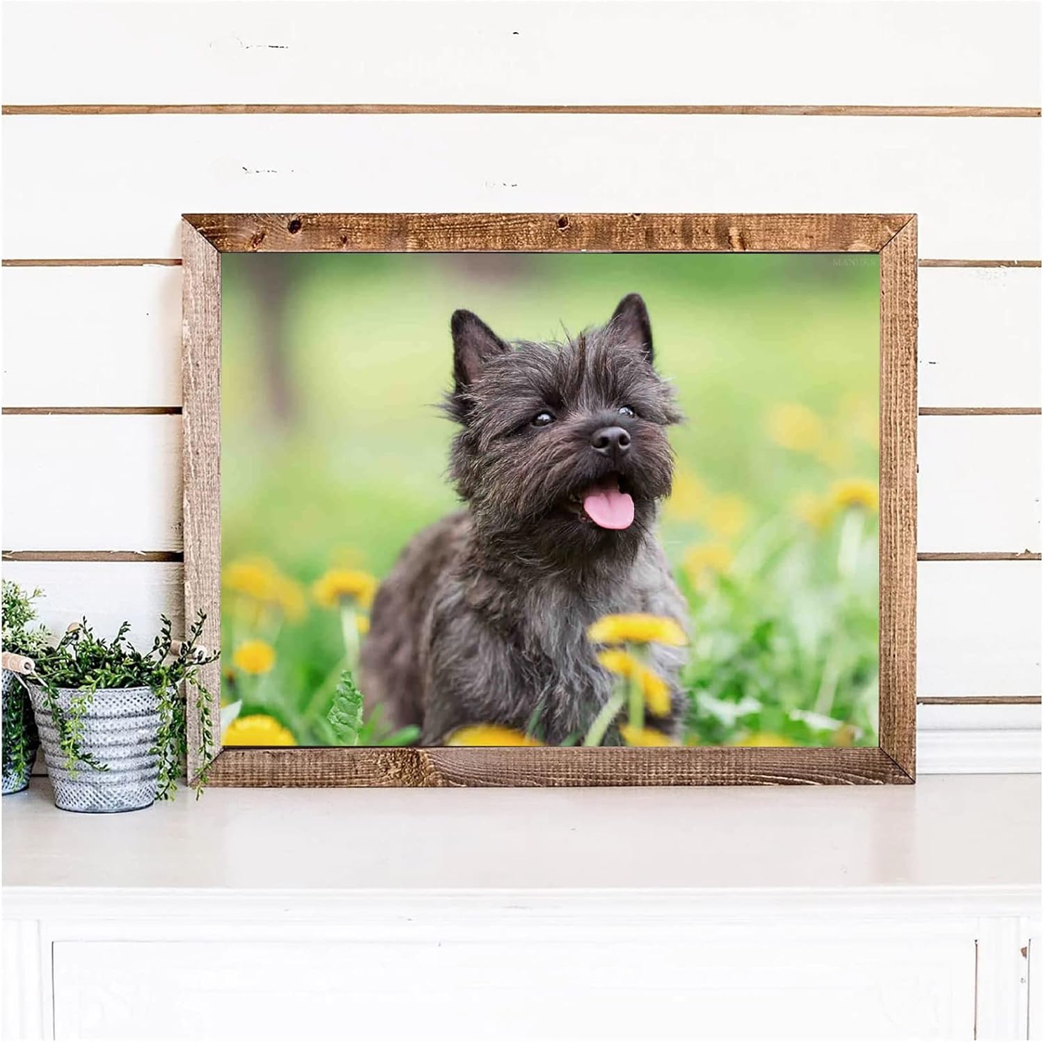 Kit de pintura de diamantes para bricolaje, perro Cairn Terrier redondo, punto de cruz, arte por número, para adultos, decoración de pared, regalos