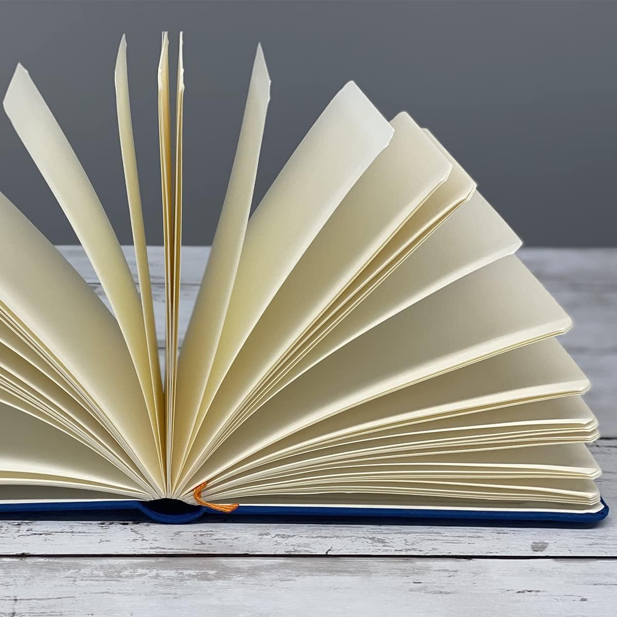 Speedball – Libro de dibujo, diario de viaje