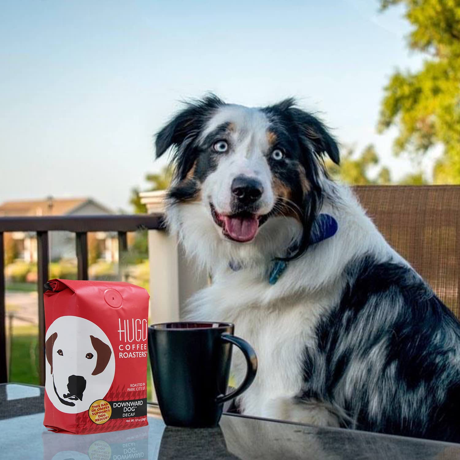 Hugo Coffee – Café descafeinado para perros con sabor orgánico almizclado, pan con plátano, sabores de caramelo y cacao, Hugo apoya los rescates de