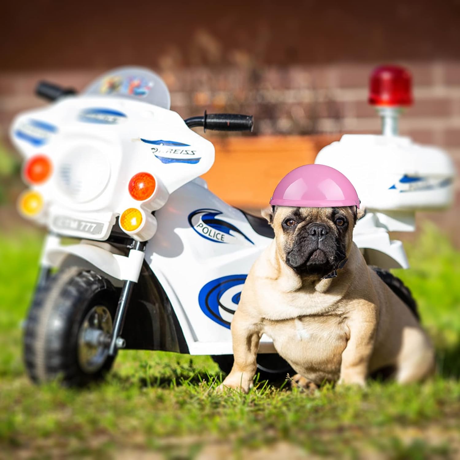 Casco para perros y mascotas, chihuahua, motocicleta, bicicleta, protección al aire libre, a prueba de sol, impermeable, pequeño, mediano, grande,