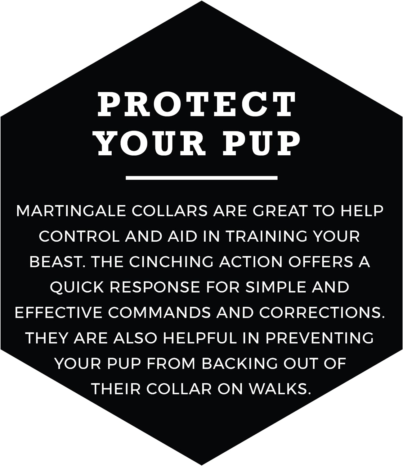 Wolfgang Man & Beast – Collar de cincha Martingale para perros de tamaño pequeño, mediano y grande, BrookTrout impresión