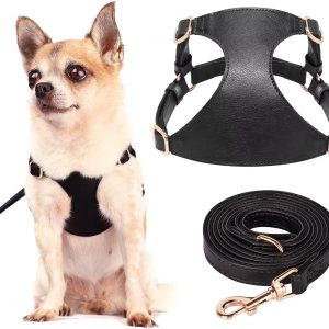 Didog Arnés sin tirones para perros pequeños, suave y ligero juego de arnés y correa para perros pequeños, arnés de cuero duradero y ajustable para Didog Arnés sin tirones para perros pequeños, suave y ligero juego de arnés y correa para perros pequeños, arnés de cuero duradero y ajustable para