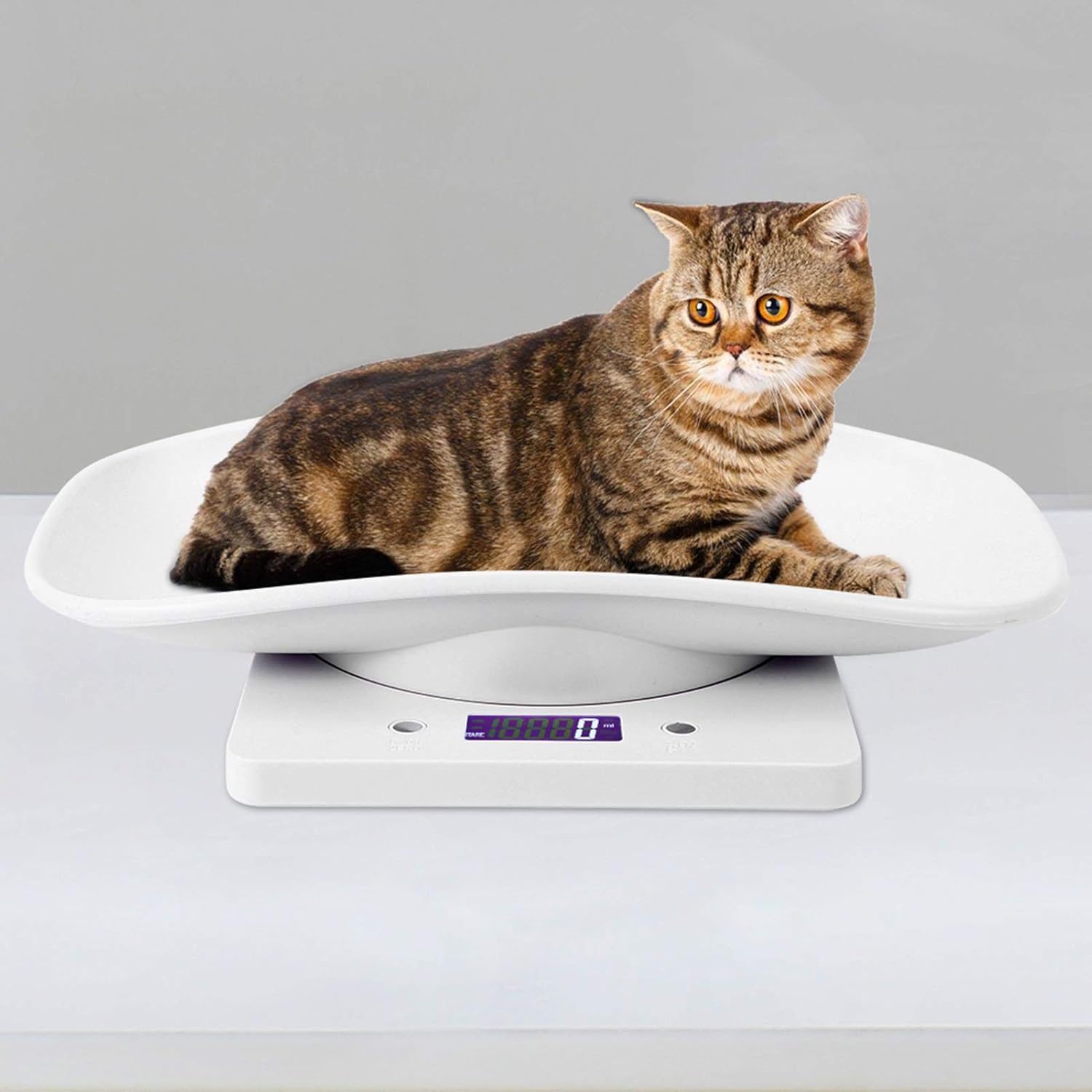 Básculas digitales para mascotas, mini pantalla LCD de 22.0 lbs0.04 oz, básculas electrónicas para medir el peso corporal de las mascotas, básculas