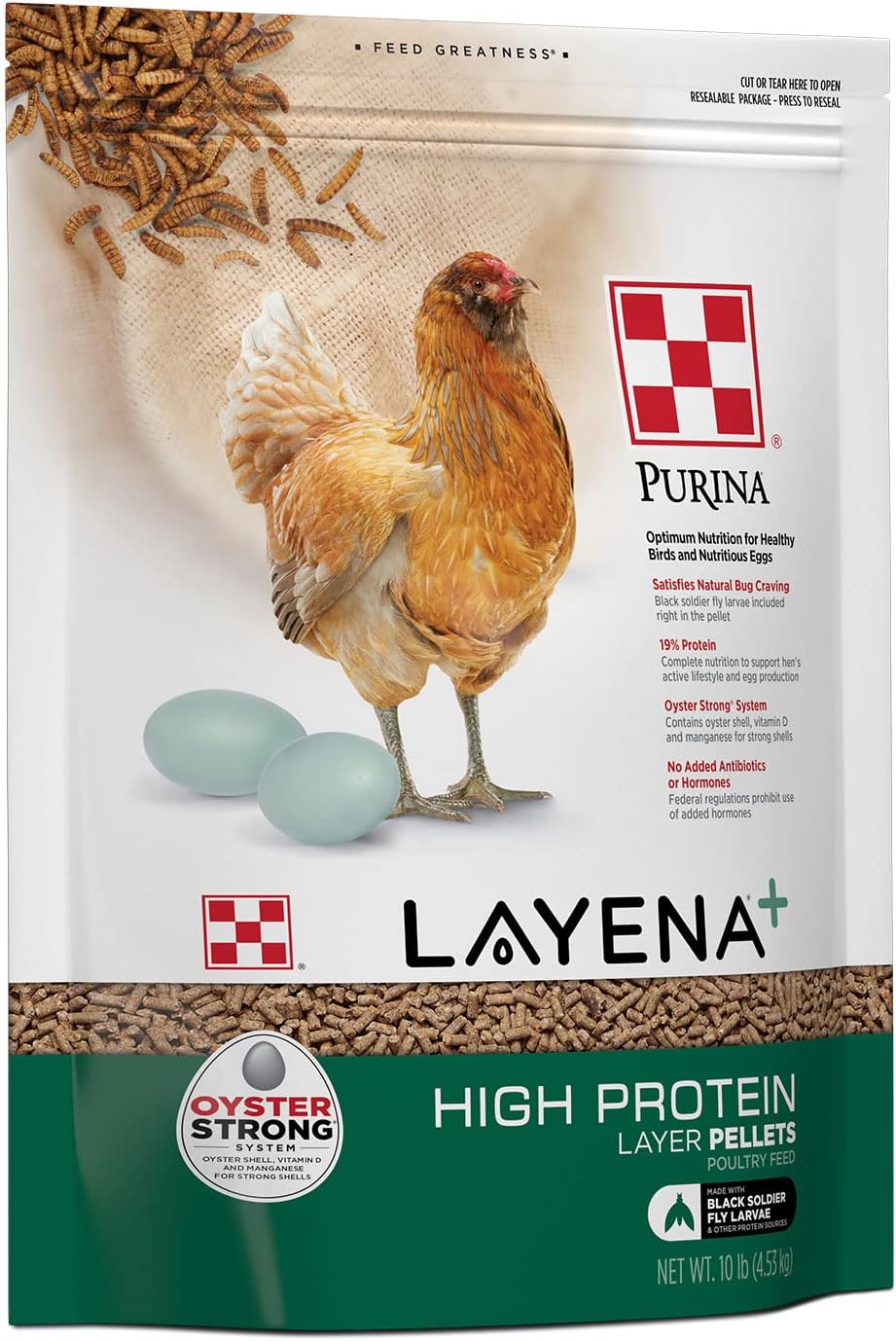 Purina Layena + Alimento de pollo con alto contenido de proteínas (10 libras)