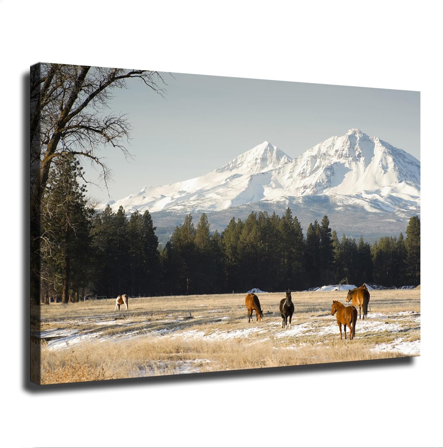 Ranch Horses Póster de ganado en cascada de montañas, Oregon United, pintura decorativa, lienzo, pósteres de pared e imagen artística moderna para