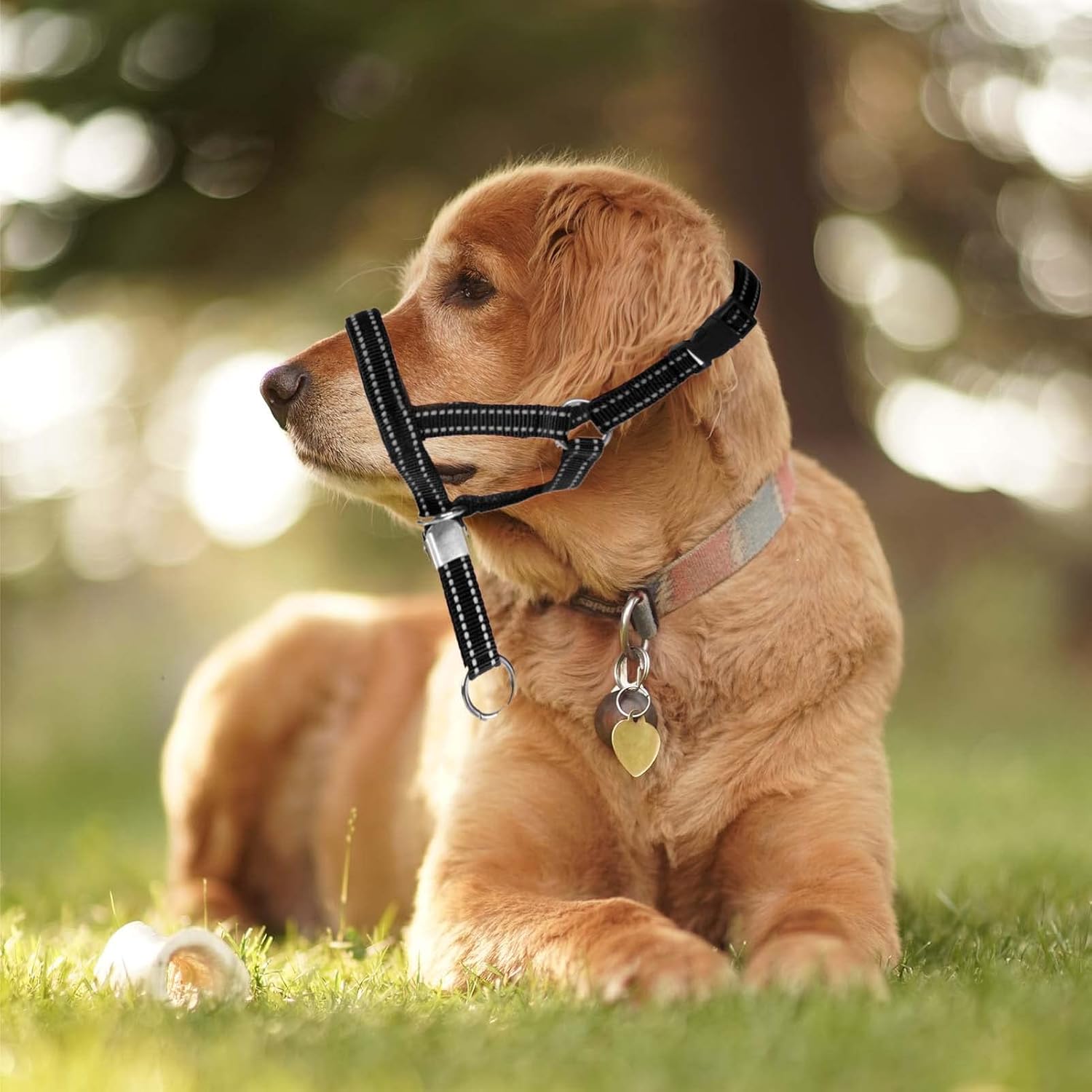 OHVEECA Collar de cabeza de perro con correa reflectante ajustable para evitar tirones de la cabeza del perro con clip de seguridad, arnés acolchado