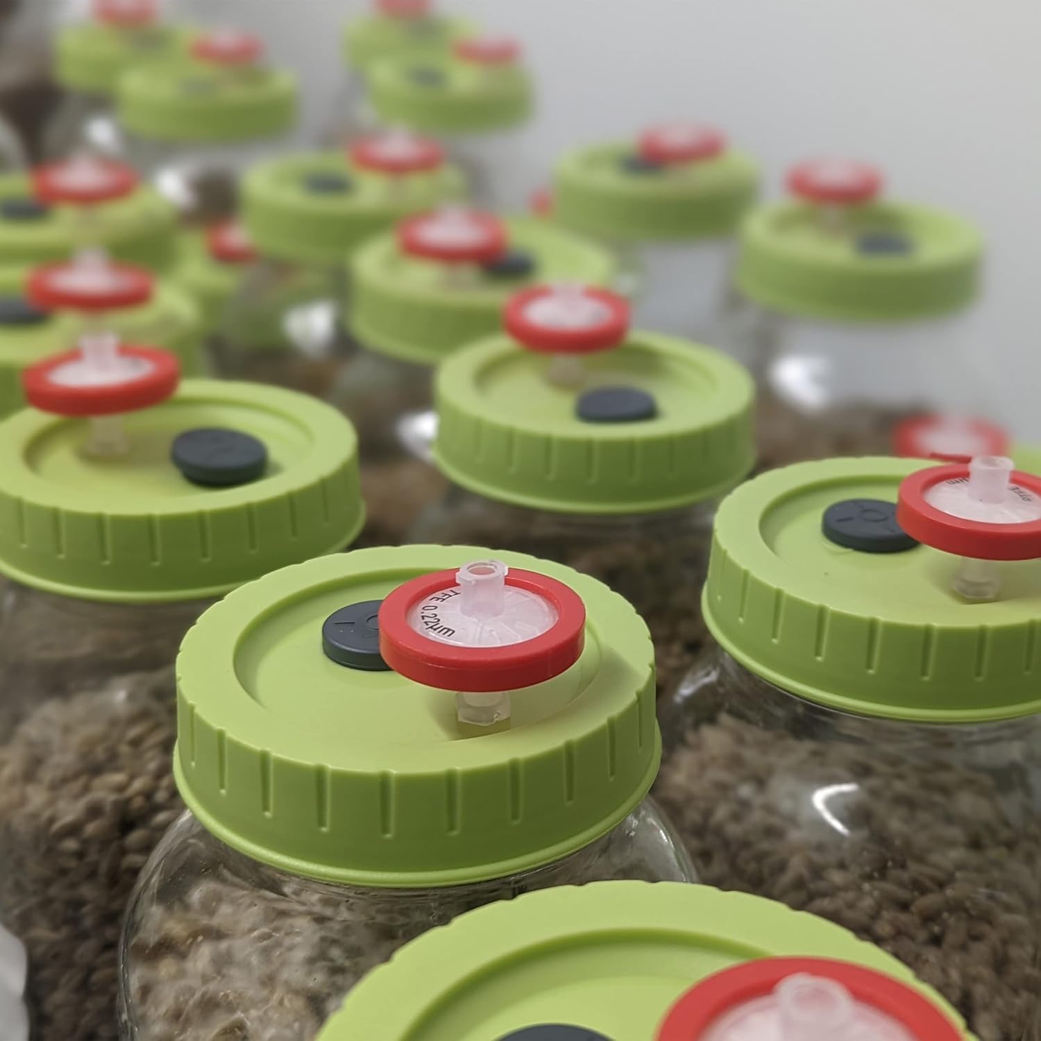 Marvellous Mycology – Tapa de cultivo líquido de boca regular (paquete de 6), tapa de tarro de cultivo de grano con filtro de jeringa de PTFE de