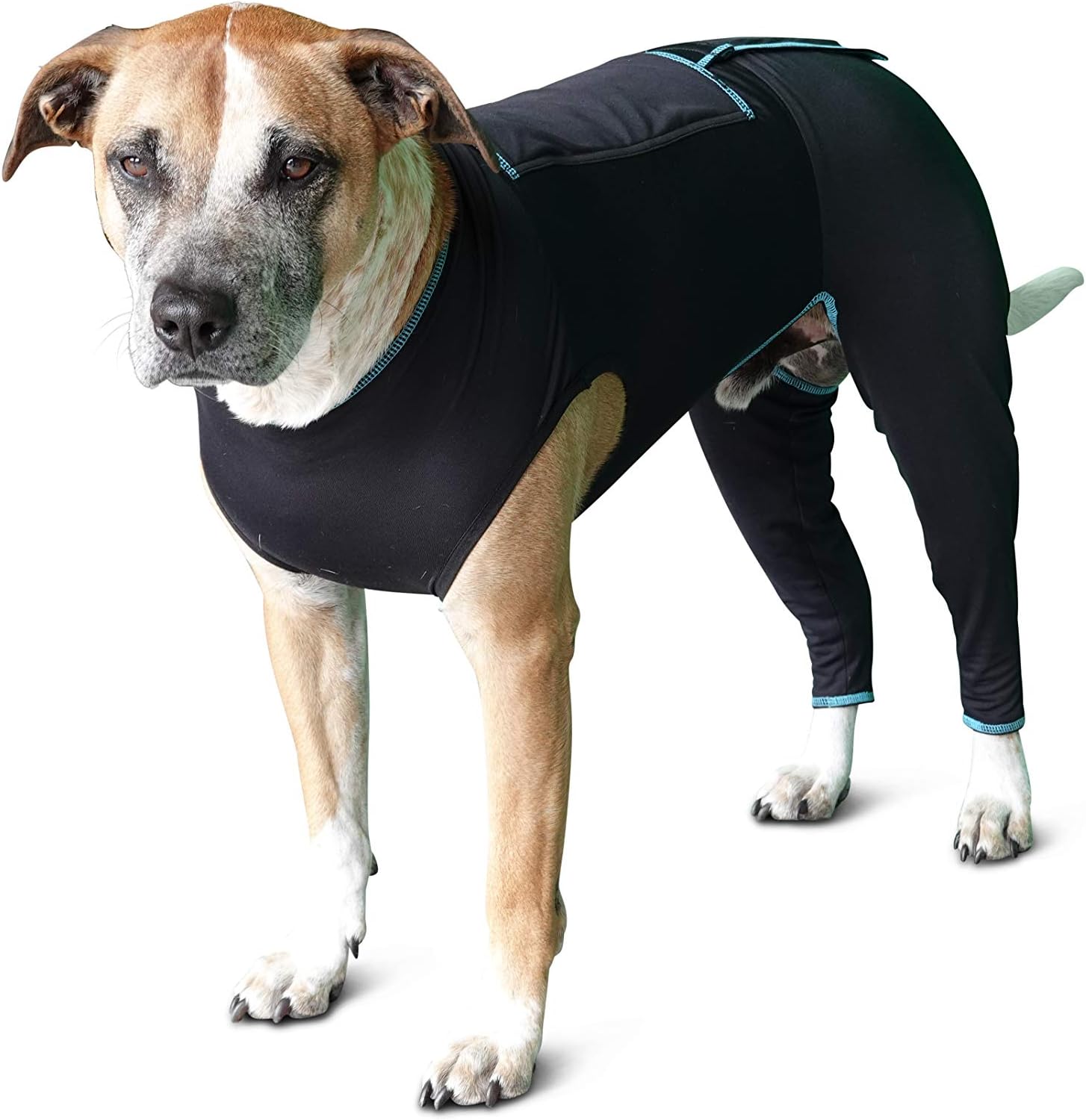 BENEFAB Traje terapéutico cómodo para perros, chaqueta ligera de infrarrojos lejanos para caninos de todas las edades, traje de compresión relajante