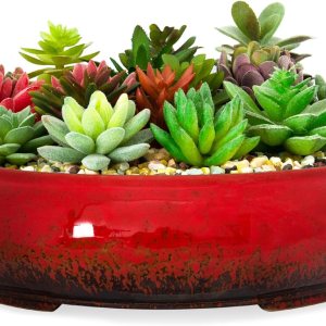 ARTKETTY Macetas para suculentas, macetas de cerámica para bonsái de 11.5 pulgadas con drenaje, macetas grandes y poco profundas para plantas de ARTKETTY Macetas para suculentas, macetas de cerámica para bonsái de 11.5 pulgadas con drenaje, macetas grandes y poco profundas para plantas de