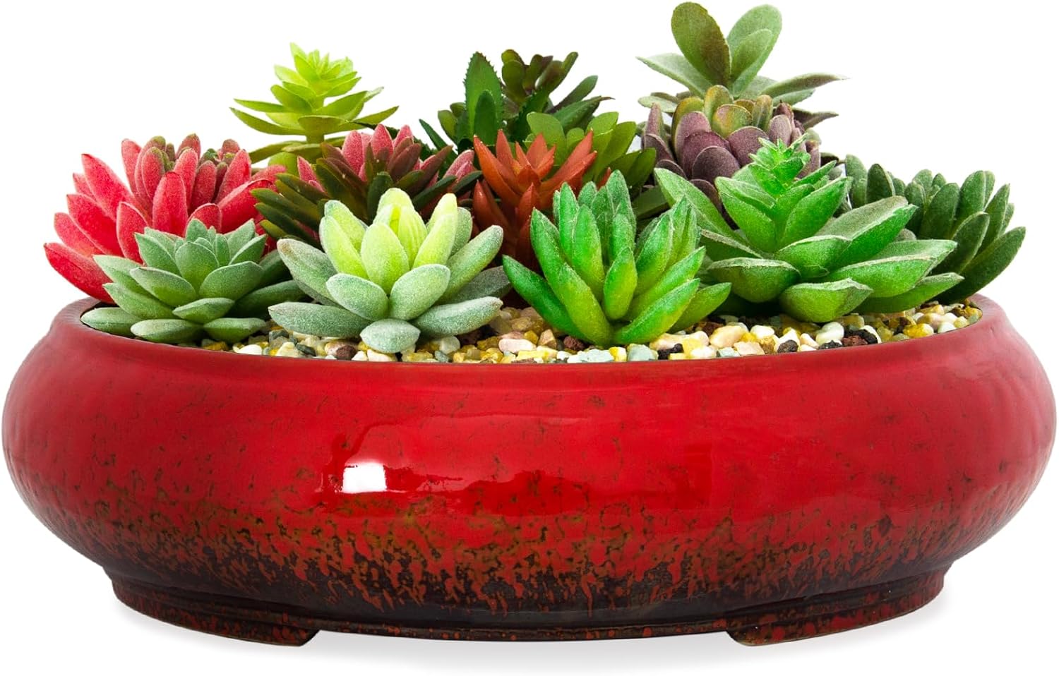 ARTKETTY Macetas para suculentas, macetas de cerámica para bonsái de 11.5 pulgadas con drenaje, macetas grandes y poco profundas para plantas de