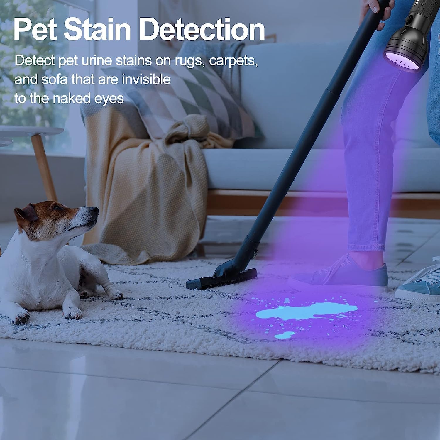 ASTRA Linterna UV de luz negra, 51 LED Blacklight Detector de orina de mascotas para orina de perro y gato, manchas secas, chinches de cama, a juego