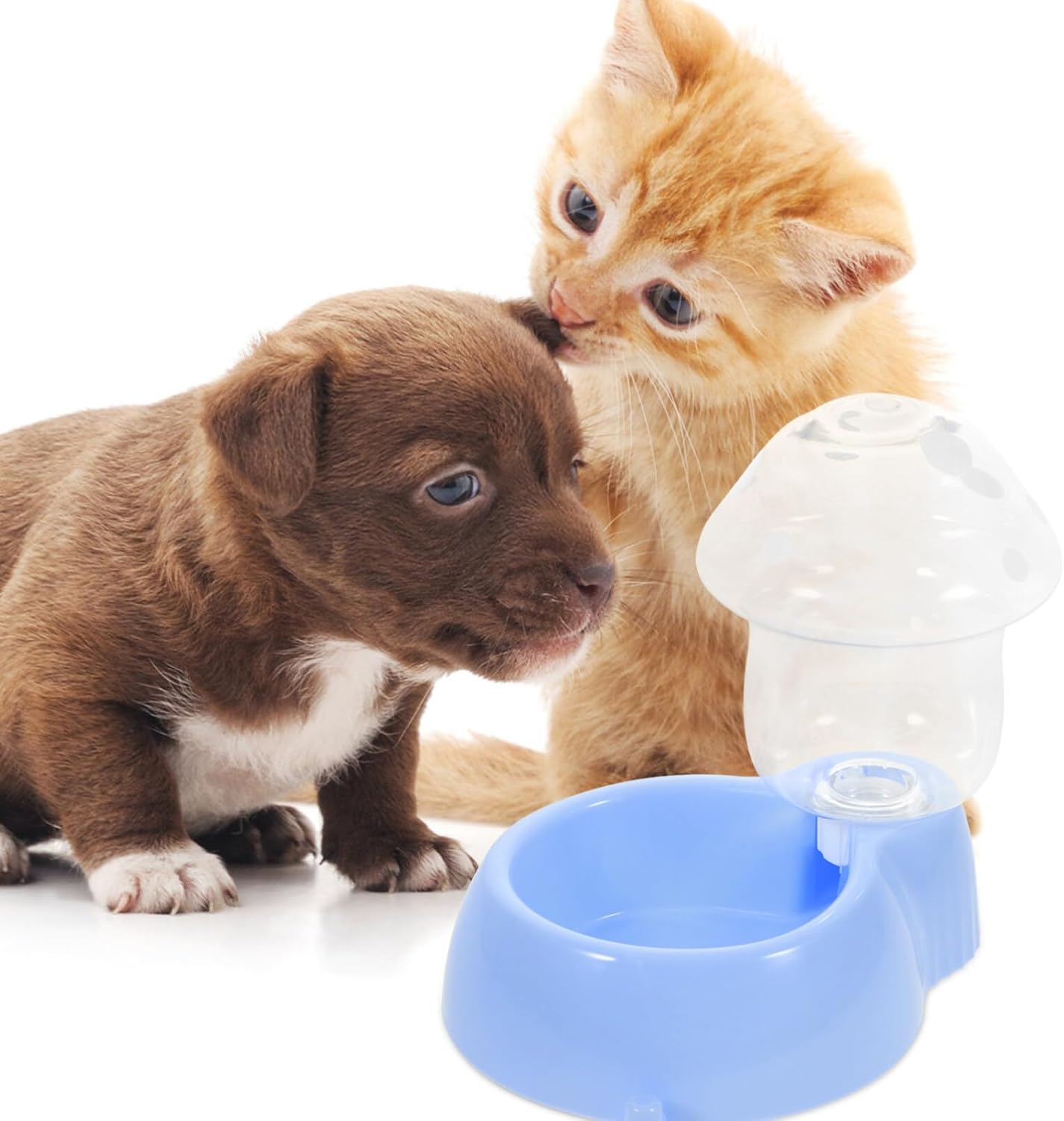 POPETPOP Dispensador automático de gravedad para mascotas, alimentador de agua para perros y gatos, forma de hongo, recipiente para platos de