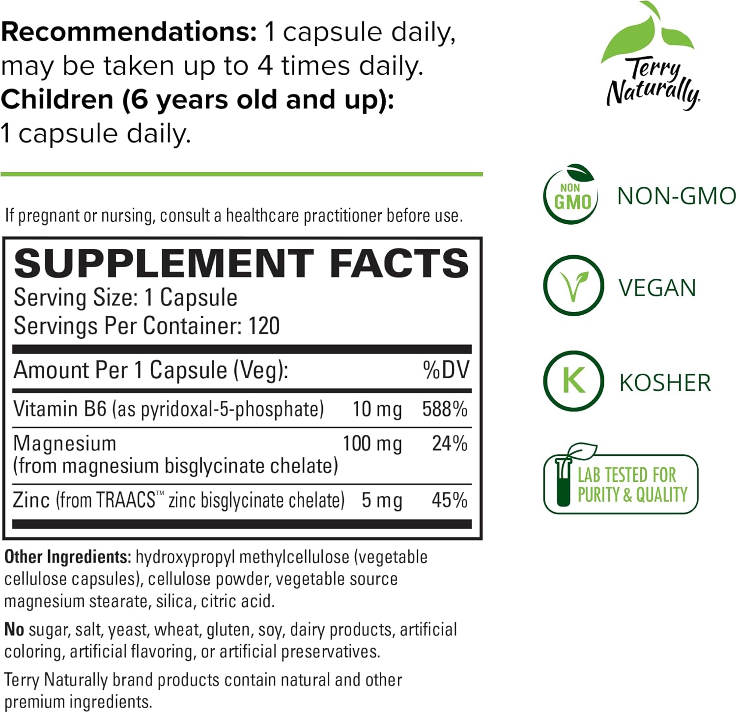 Terry Naturally Complejo de magnesio BioActive – 120 cápsulas, paquete de 2 – con vitamina B6 y zinc – Sin OMG, vegano, sin gluten, Kosher – 240