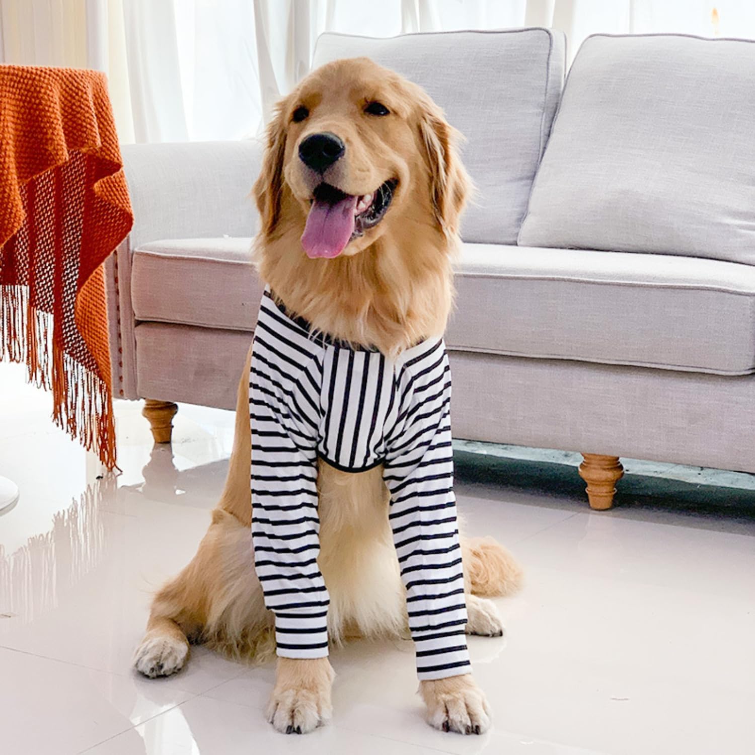 Protector de codo de perro para callos, funda de recuperación de articulaciones de perro para evitar lamer heridas, coderas con almohadilla de malla