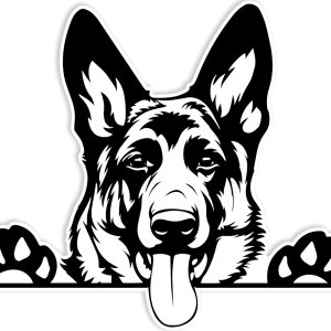 Adhesivo de pastor alemán de 5 x 5 pulgadas, fuerte adhesivo impermeable, accesorios de pastor alemán, no se decolora, se utiliza para automóvil, Adhesivo de pastor alemán de 5 x 5 pulgadas, fuerte adhesivo impermeable, accesorios de pastor alemán, no se decolora, se utiliza para automóvil,