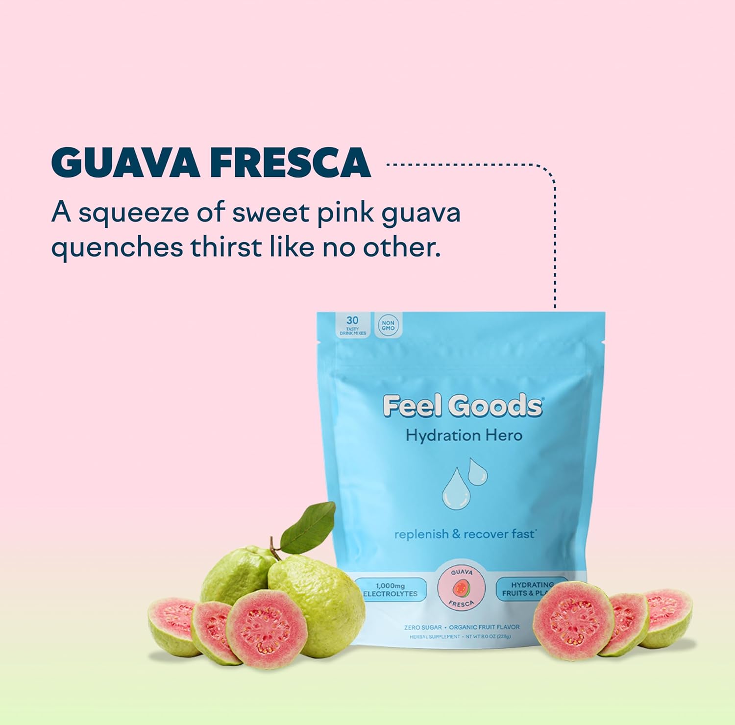 Feel Goods Hydration Hero – Paquetes de hidratación de electrolitos en polvo, sin azúcar, más de 60 oligogramas, frutas orgánicas, Keto – Guayaba