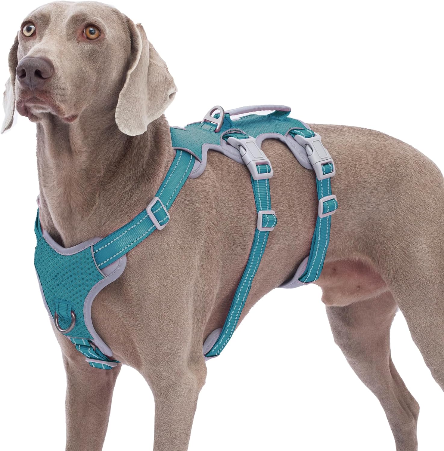 Arnés para perro a prueba de escapes, arnés reflectante sin tirones con asa de elevación, chaleco ajustable para mascotas con clips delanteros y