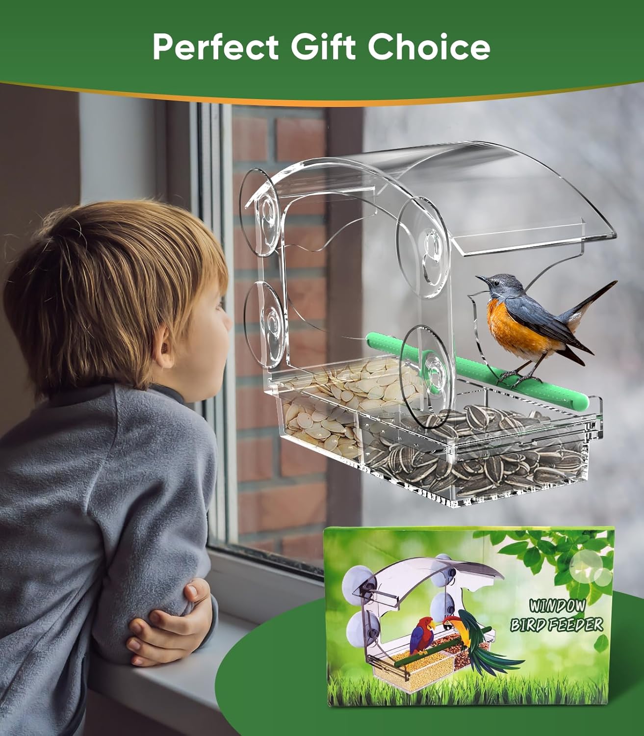 Comedero para pájaros con 4 ventosas fuertes, comedero para pájaros de ventana transparente para exteriores, casa de pájaros de acrílico para