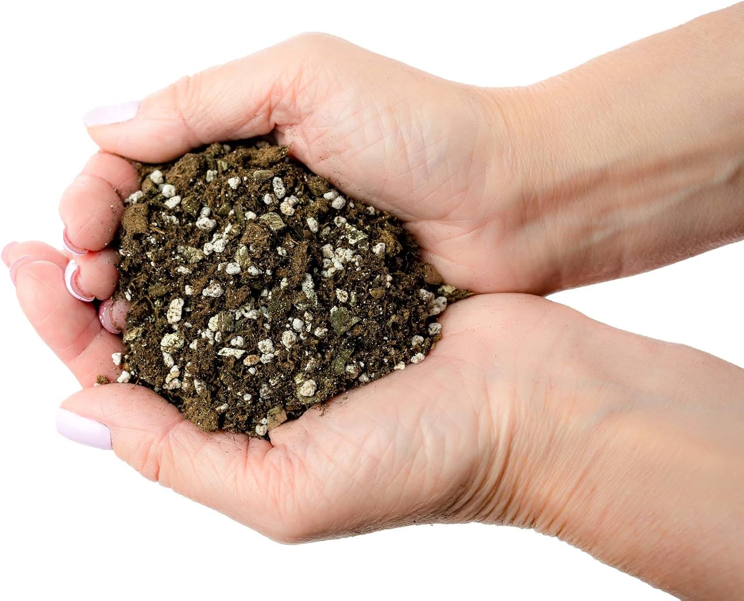 Mezcla de suelo prémium para violetas africanas y gesneriad, perlita hortícola (25%) + vermiculita (25%) + musgo de turba esfagnum (50%), fabricada