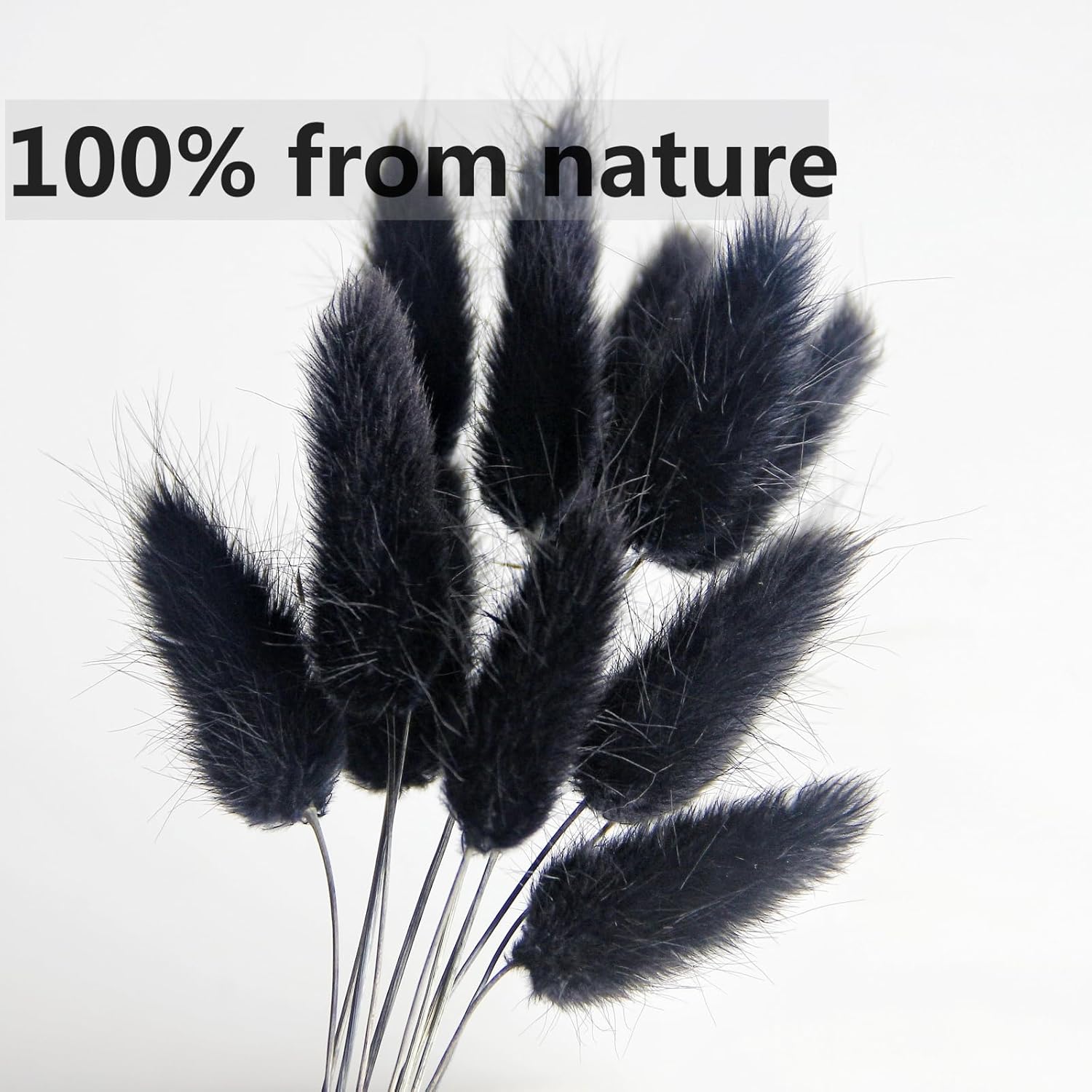 100 ramos de hierba negra de las pampas, decoración de mesa bohemia, colas de conejo negro, flores secas, hierba de pampa seca para bodas,