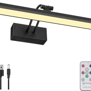 FUNCHDAY Luz de imagen, luz de imagen de batería de 3CCT para pared, luz de pintura remota inalámbrica con temporizador y regulable, luz de arte de FUNCHDAY Luz de imagen, luz de imagen de batería de 3CCT para pared, luz de pintura remota inalámbrica con temporizador y regulable, luz de arte de