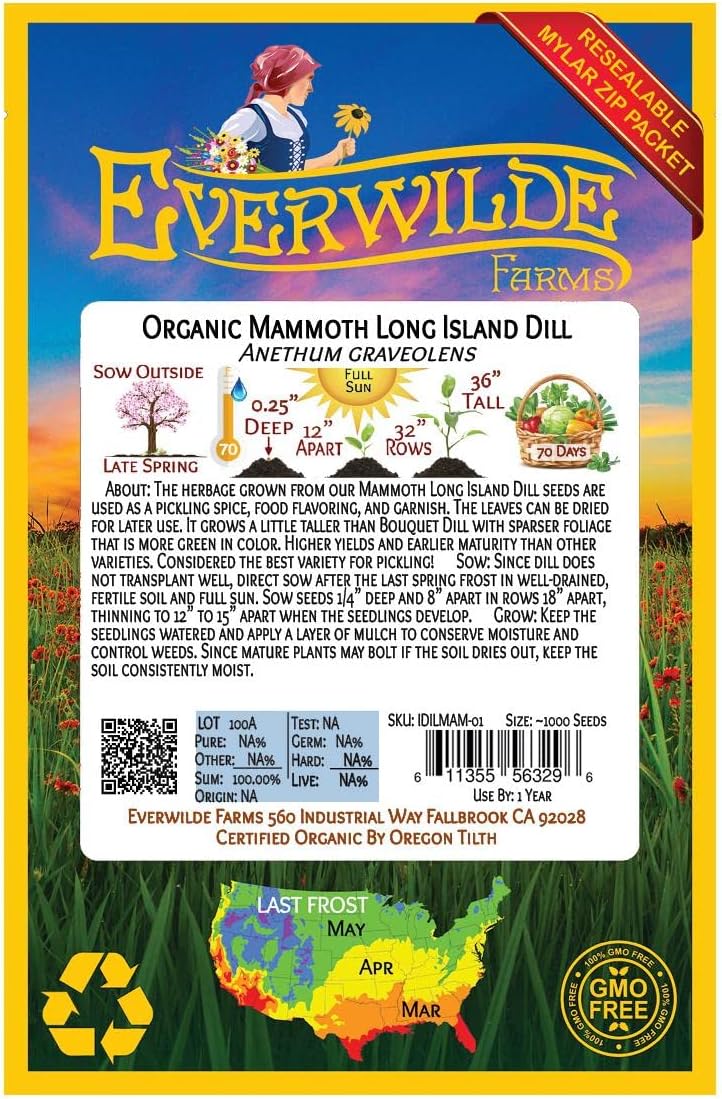 Everwilde Farms – 1000 Semillas orgánicas de hierbas de eneldo de Long Island Mammoth – Paquete Gold Vault