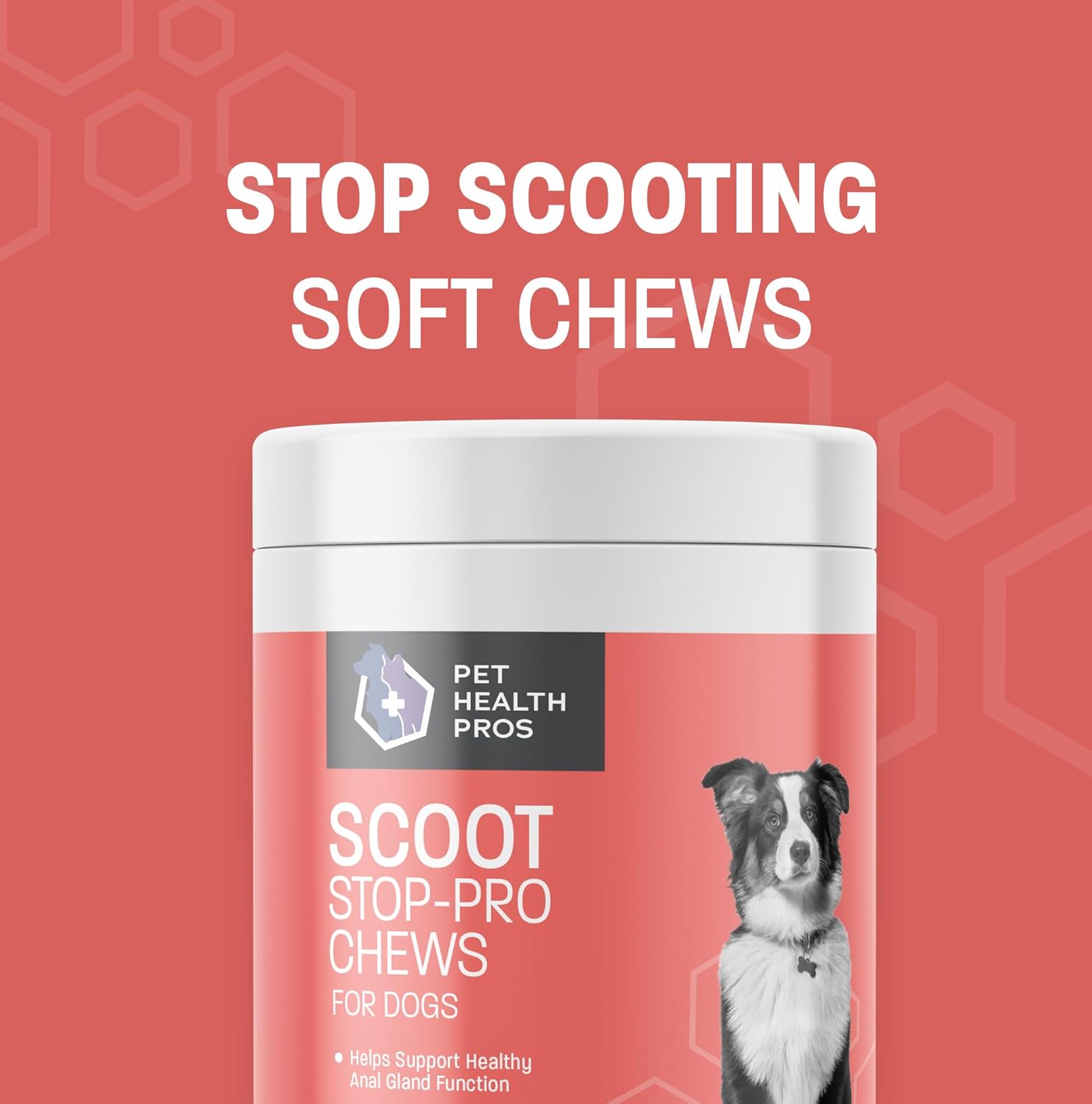 Scoot Stop-Pro – Masticables suaves para perros – Soporte de glándula anal – Fibra de perro para perros Calabaza para la digestión de perros – Apoya