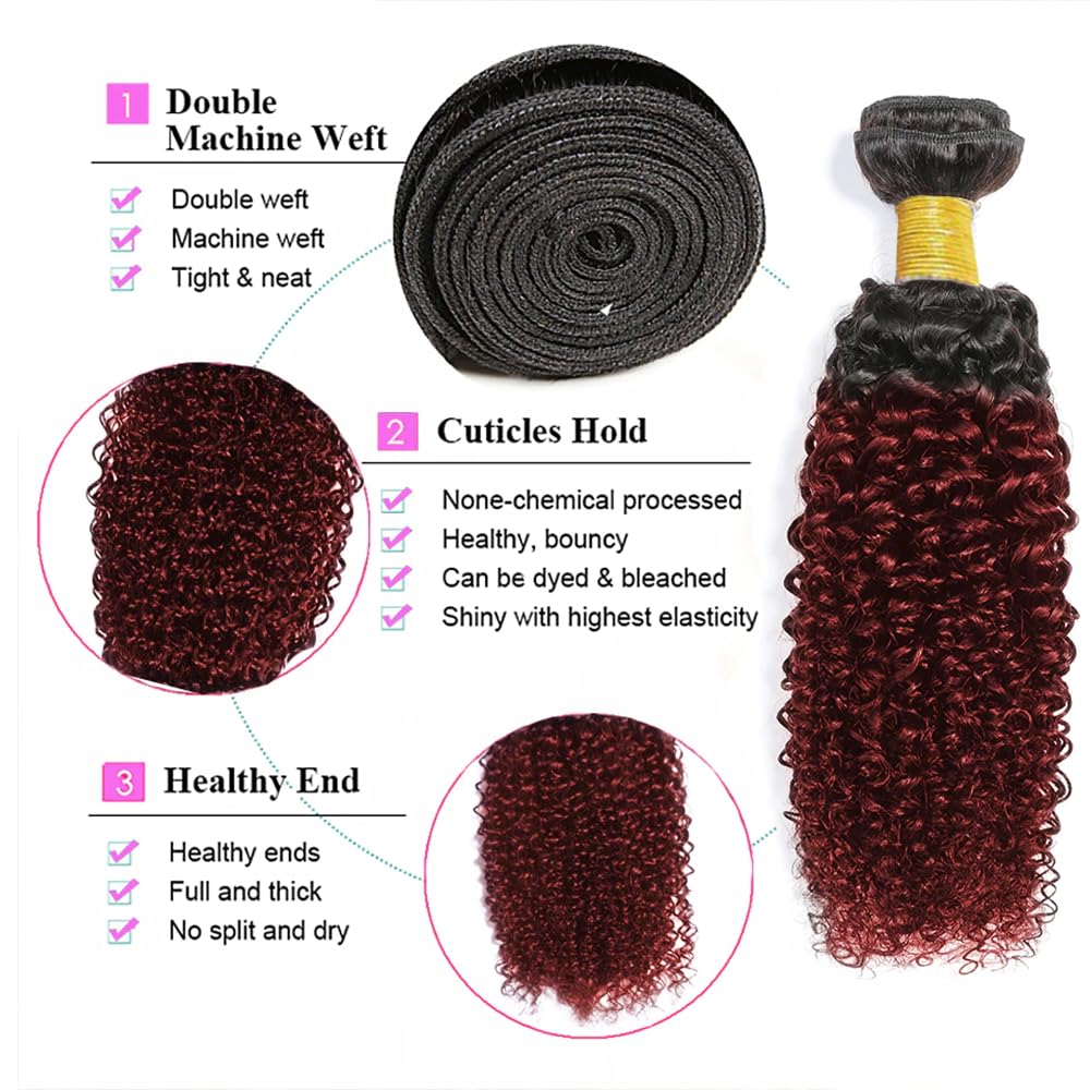 Extensiones de cabello humano ondulado brasileño de doble trama de color negro a rojo vino