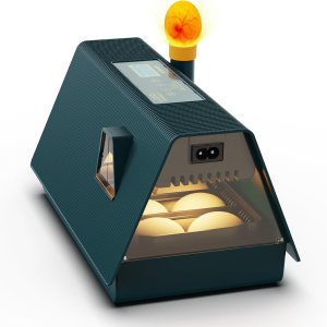 WYD2ANG Incubadoras inteligentes de pollo para incubar huevos con volteador automático, aves, pato, codorniz, incubadora de 12 huevos, pantalla de WYD2ANG Incubadoras inteligentes de pollo para incubar huevos con volteador automático, aves, pato, codorniz, incubadora de 12 huevos, pantalla de