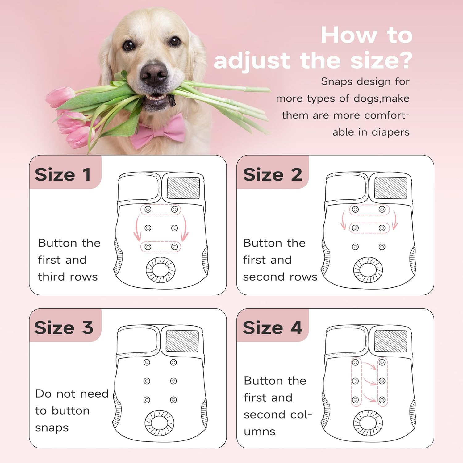 Paw Legend – Pañales reutilizables para perro hembra, 3 unidades