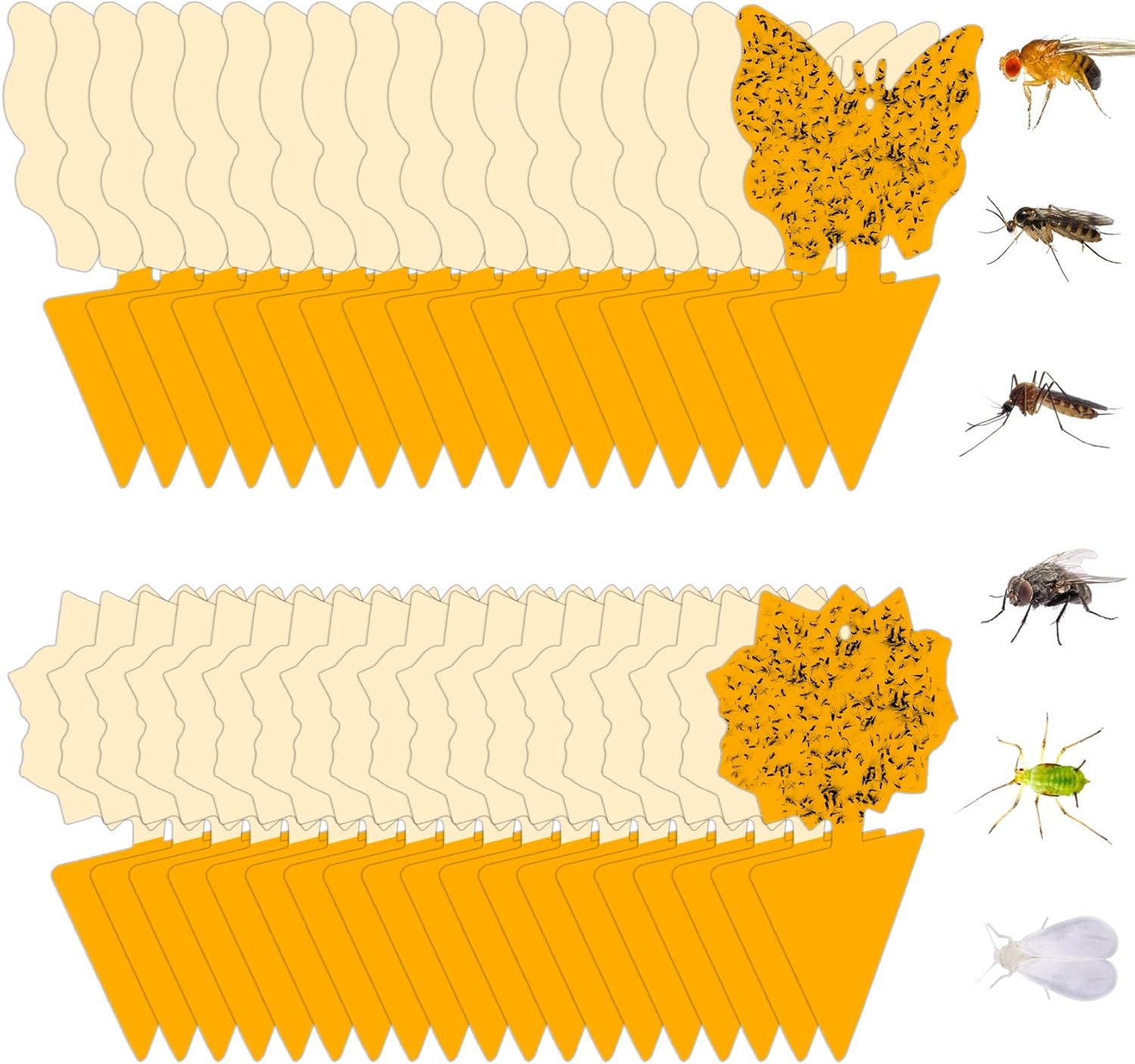 12trampas adhesivas de interiores para moscas de la fruta y mosquitos, trampas para mosquitos del hongo e insectos, para plantas domésticas