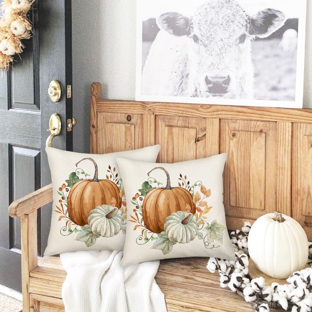 MEHOTOP Juego de 2 fundas de almohada de otoño de 16 x 16 pulgadas, fundas de almohada decorativas de otoño, fundas de almohada de calabaza de