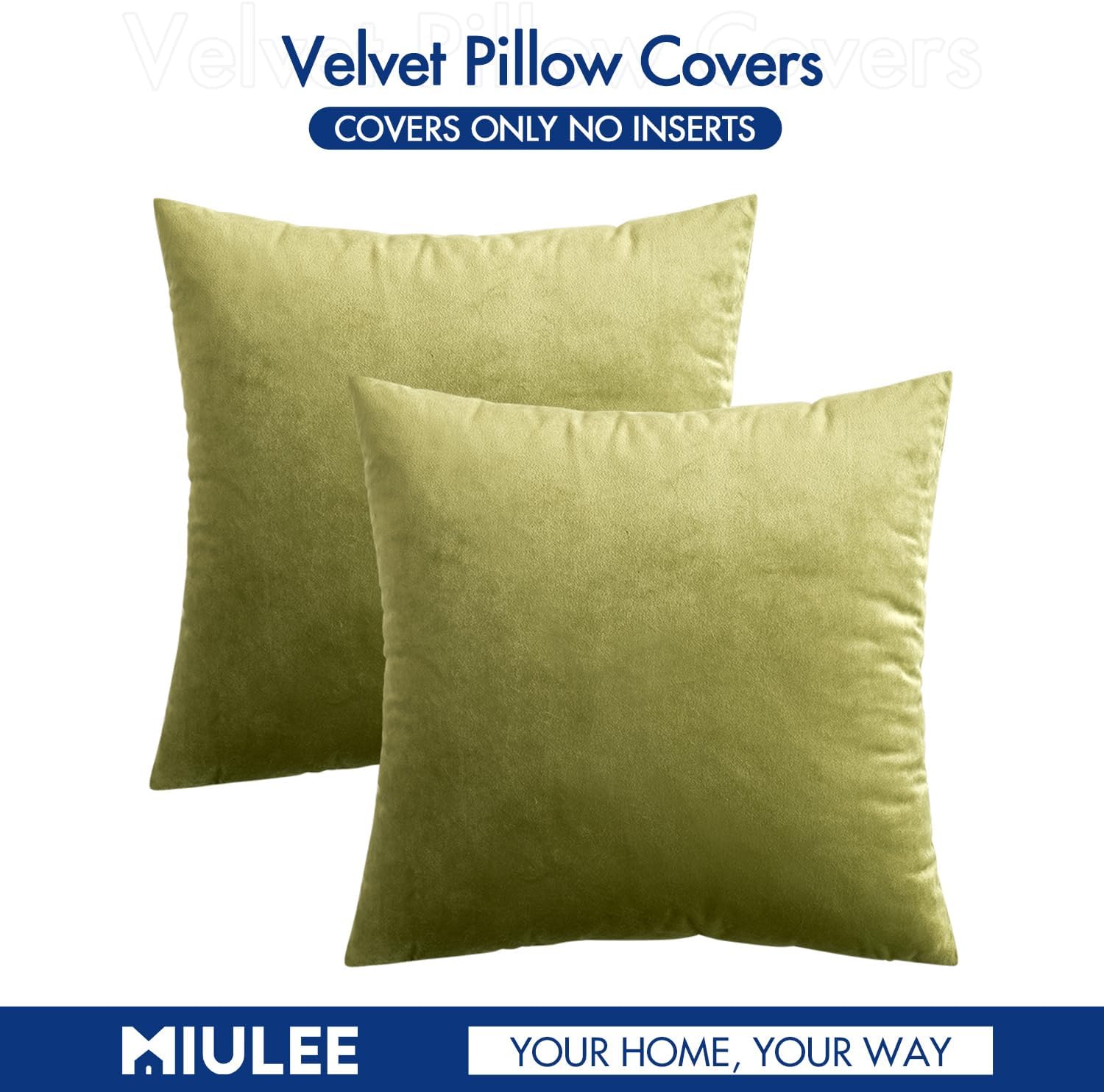 MIULEE Paquete de 2 fundas de almohada de terciopelo salvia de 20 x 20 pulgadas, juego de fundas de cojín cuadradas decorativas suaves para sofá de