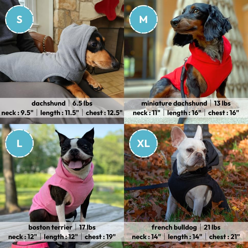Gooby, vestimenta chaleco para perros para clima frío para todos los días con capucha para perros pequeños, L, Azul