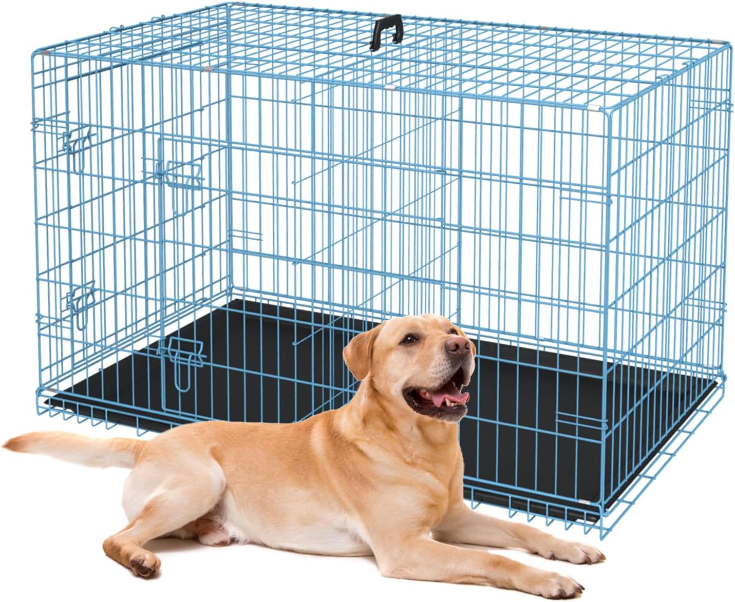 Petmate – Jaulas plegables de alambre de metal, de 24, 30, 36, 42, 48 pulgadas, para perros grandes, para exteriores e interiores, con doble puerta,